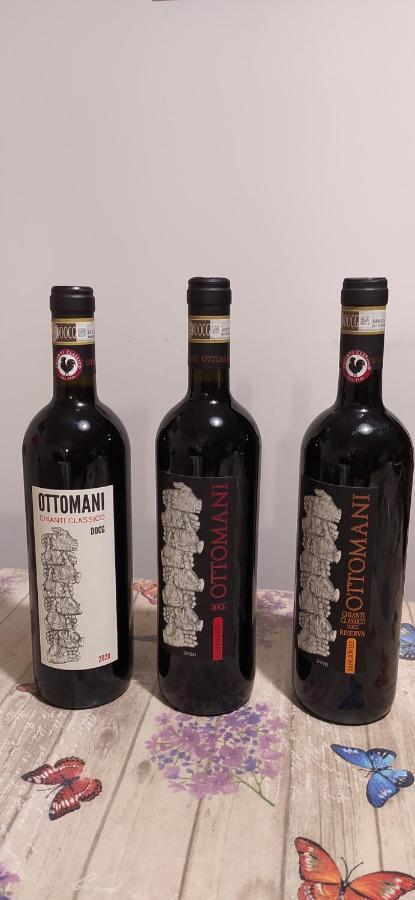 Appartamento Sezzate 40 Strada in Chianti Ngoại thất bức ảnh