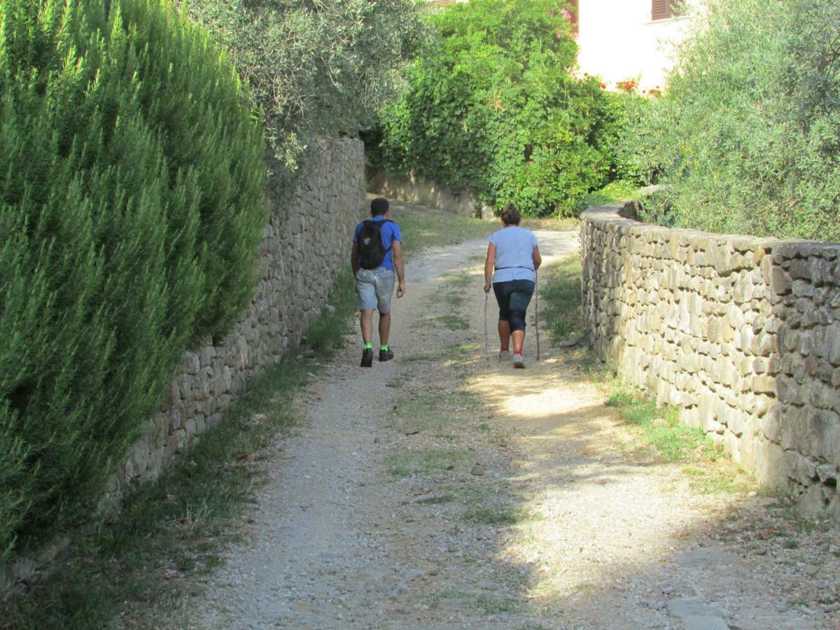 Appartamento Sezzate 40 Strada in Chianti Ngoại thất bức ảnh